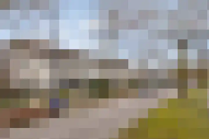 Wilhelminastraat 100 Uden thumbnail 39