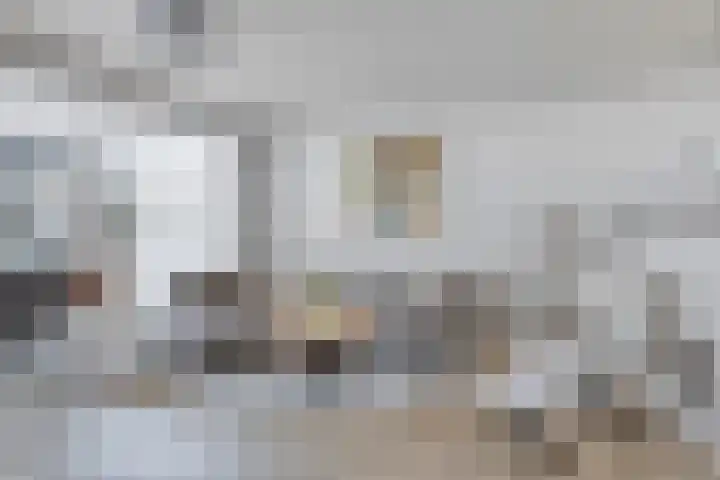Wilhelminastraat 100 Uden thumbnail 5
