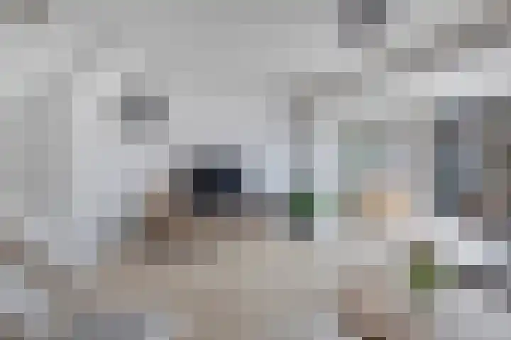 Wilhelminastraat 100 Uden thumbnail 6