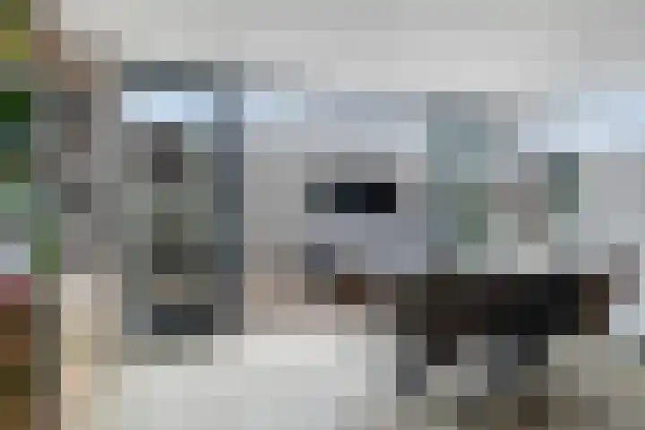 Wilhelminastraat 100 Uden thumbnail 8