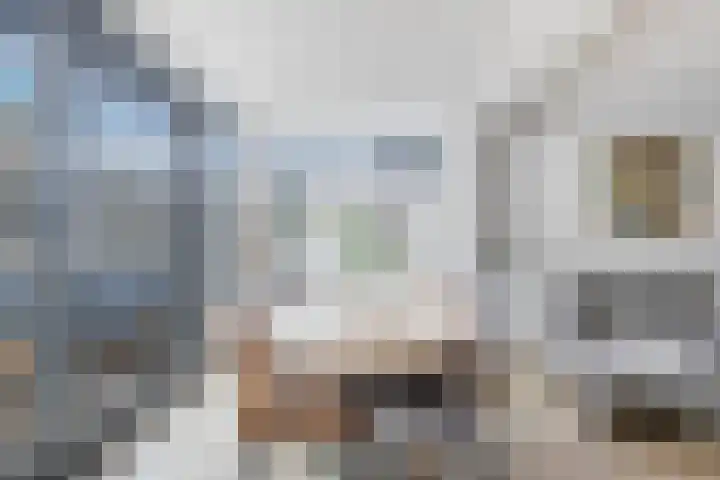 Wilhelminastraat 100 Uden thumbnail 9