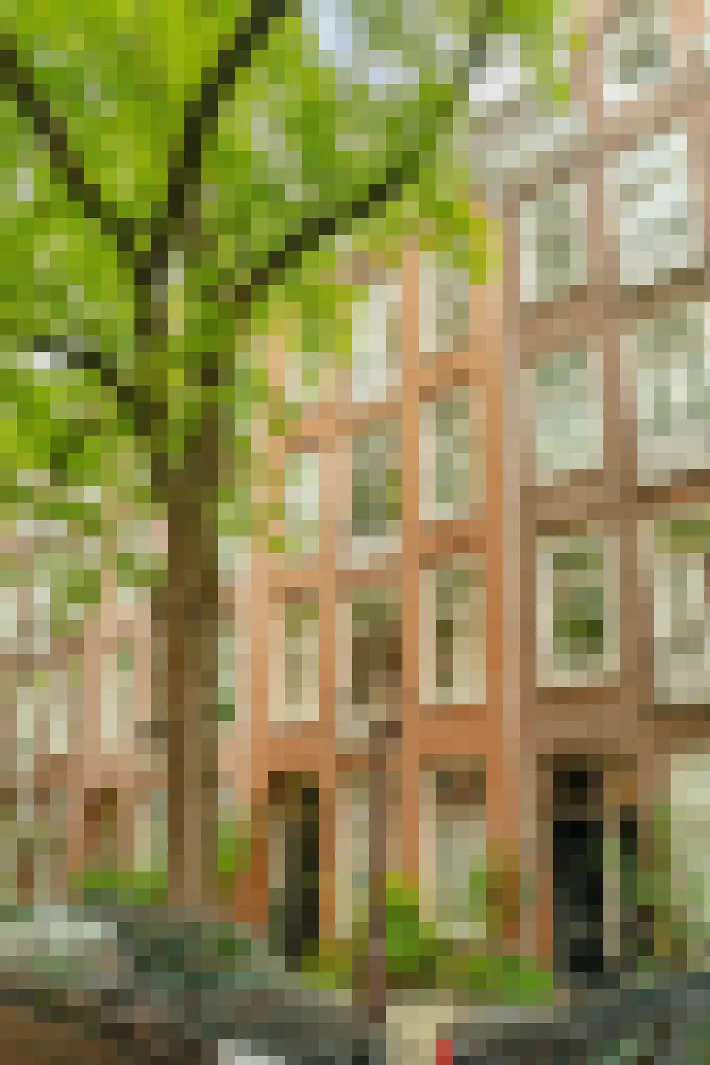 Wilhelminastraat 102 H en Amsterdam
