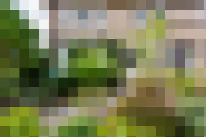 Wilhelminastraat 103 Doetinchem thumbnail 4