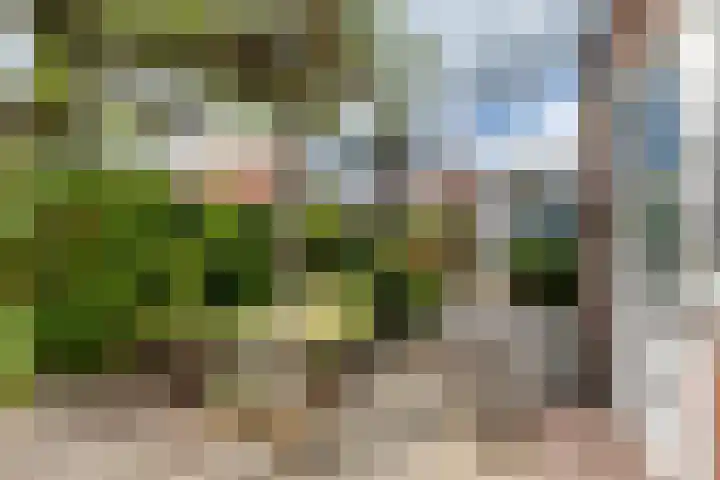 Wilhelminastraat 103 Doetinchem thumbnail 46