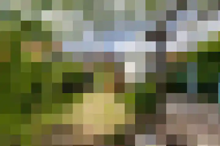 Wilhelminastraat 103 Doetinchem thumbnail 47