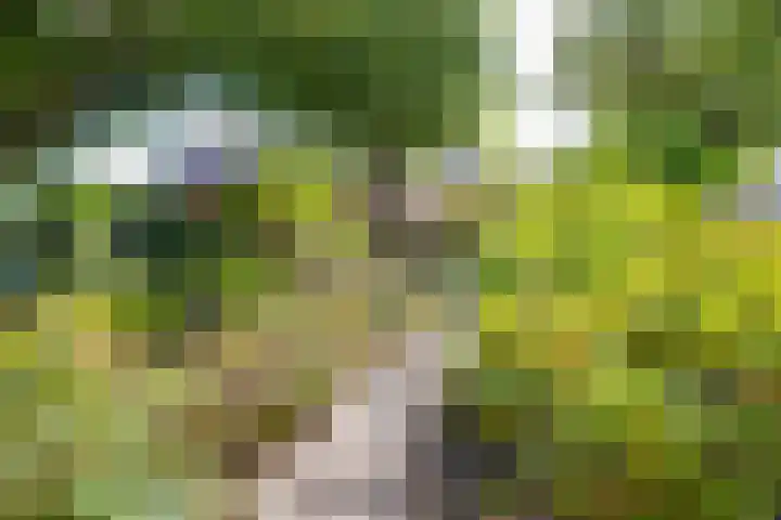 Wilhelminastraat 103 Doetinchem thumbnail 5
