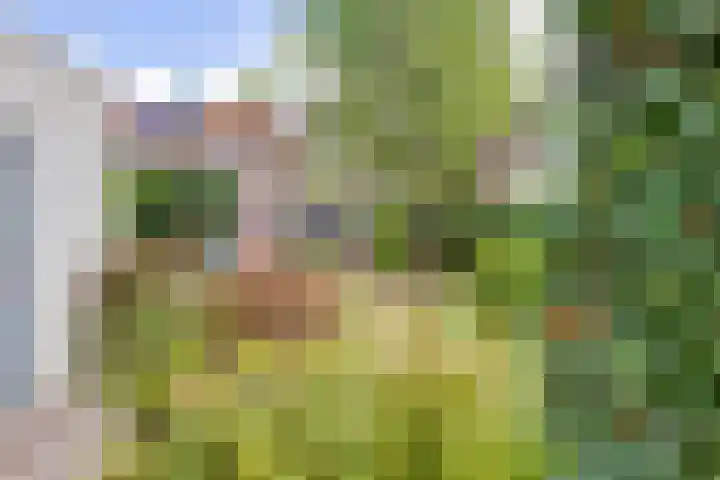 Wilhelminastraat 103 Doetinchem thumbnail 50