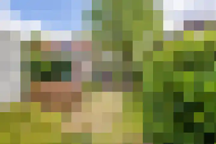 Wilhelminastraat 103 Doetinchem thumbnail 51