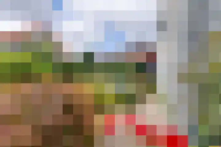 Wilhelminastraat 103 Doetinchem thumbnail 54
