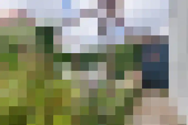 Wilhelminastraat 103 Doetinchem thumbnail 55