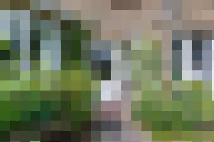 Wilhelminastraat 103 Doetinchem thumbnail 6