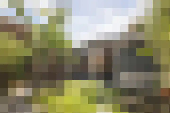 Wilhelminastraat 103 Kortgene thumbnail 32