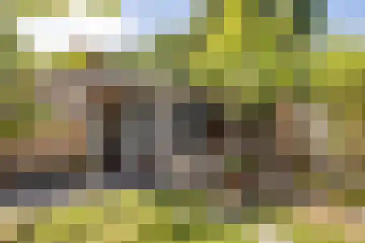 Wilhelminastraat 103 Kortgene thumbnail 33