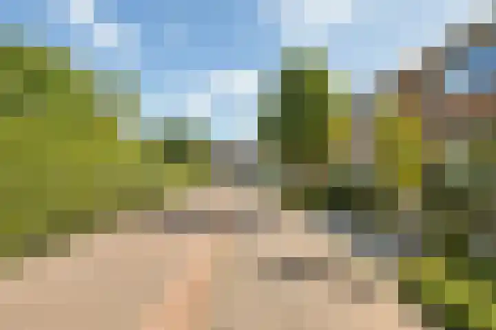 Wilhelminastraat 103 Kortgene thumbnail 38