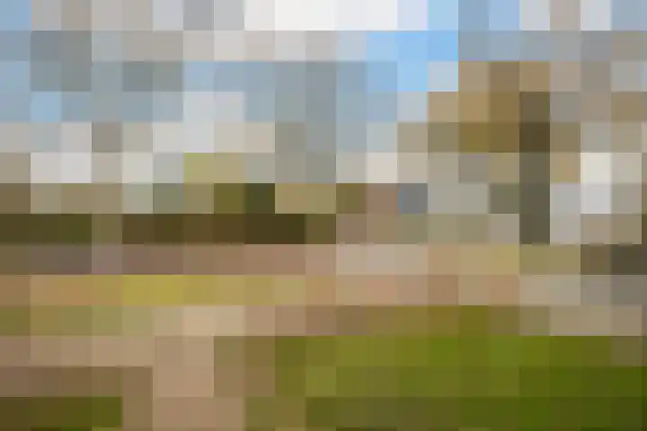 Wilhelminastraat 105 Dalfsen thumbnail 4