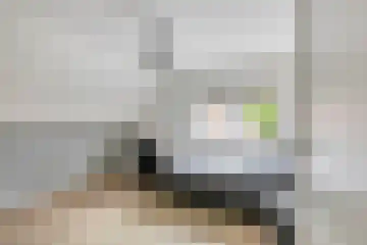 Wilhelminastraat 105 Didam thumbnail 17