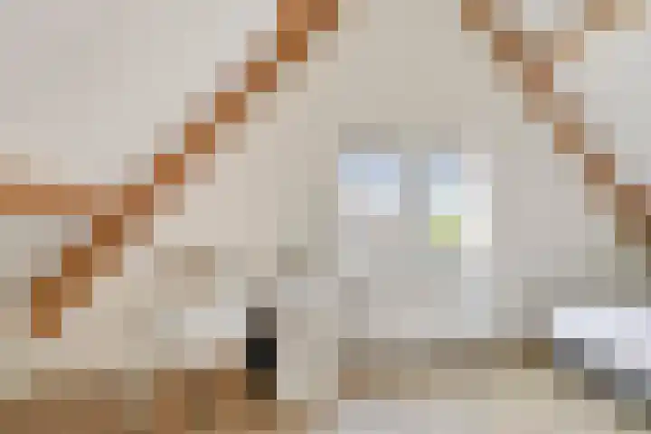 Wilhelminastraat 105 Didam thumbnail 22