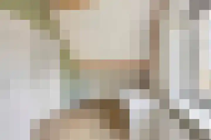 Wilhelminastraat 105 Didam thumbnail 24
