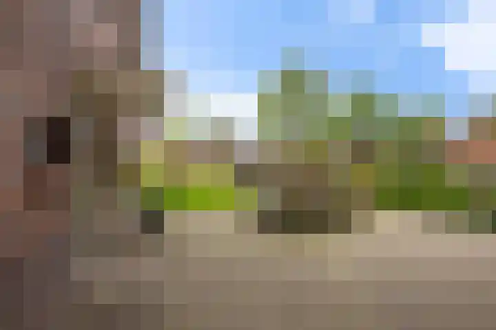 Wilhelminastraat 105 Didam thumbnail 32
