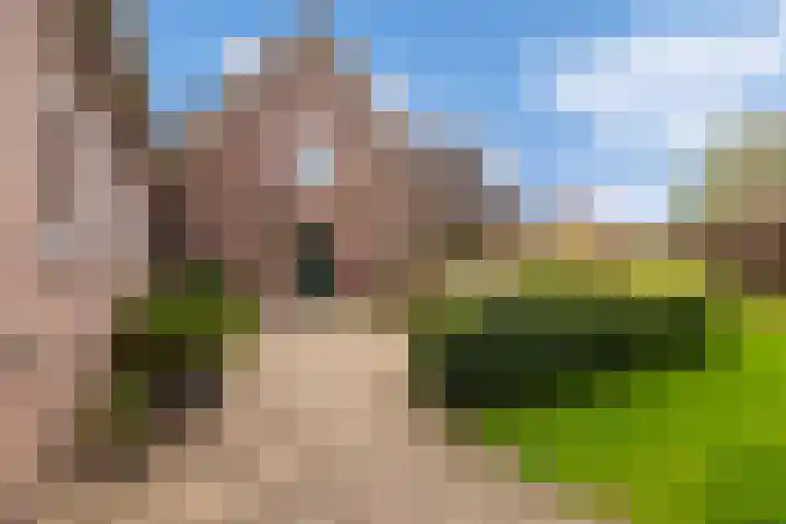 Wilhelminastraat 105 Didam thumbnail 33