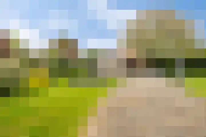 Wilhelminastraat 105 Didam thumbnail 35