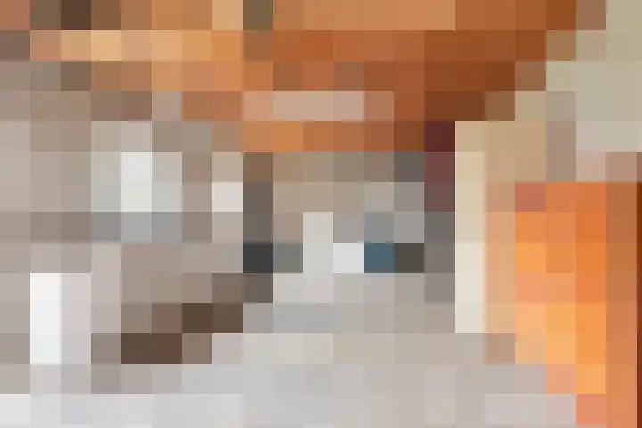 Wilhelminastraat 105 Didam thumbnail 38