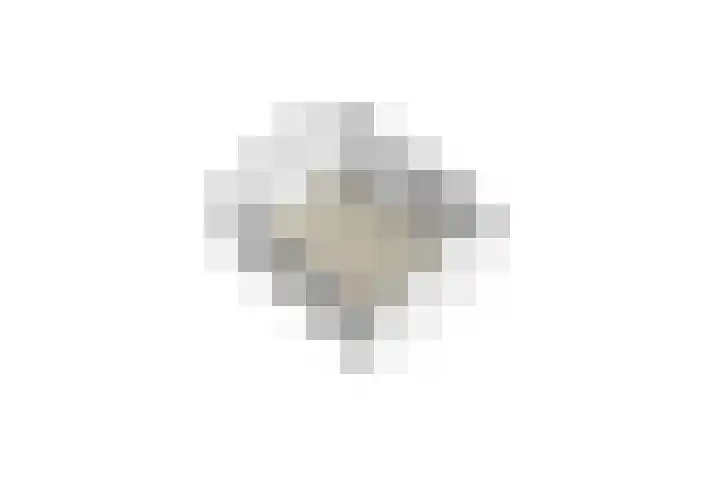 Wilhelminastraat 105 Didam thumbnail 48