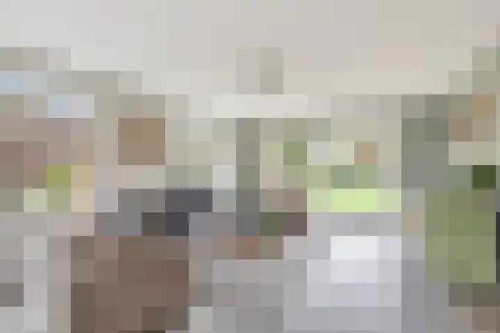 Wilhelminastraat 105 Didam thumbnail 7