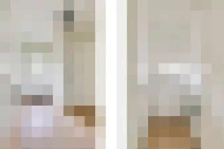 Wilhelminastraat 105 Didam thumbnail 9