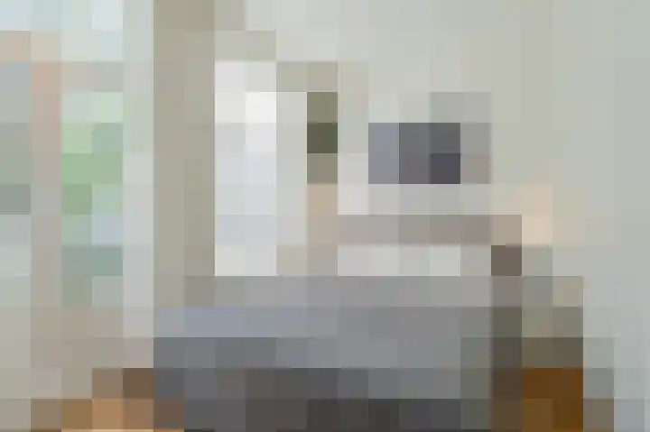 Wilhelminastraat 106 H Amsterdam thumbnail 18