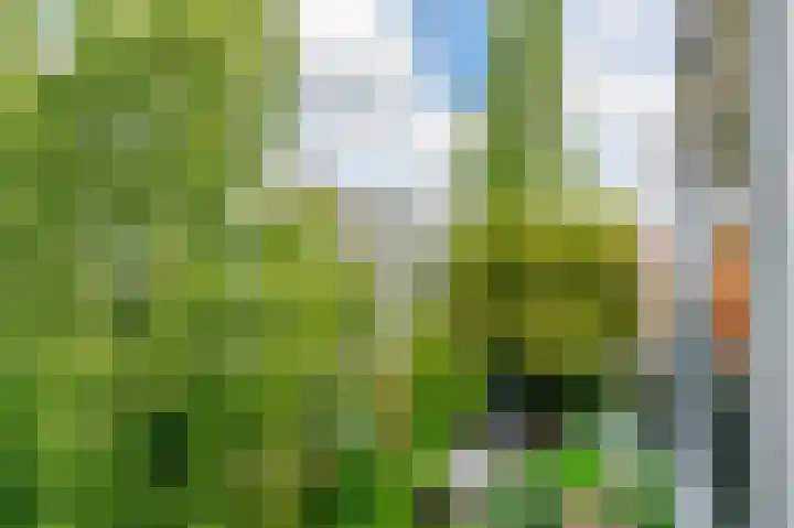 Wilhelminastraat 106 H Amsterdam thumbnail 24