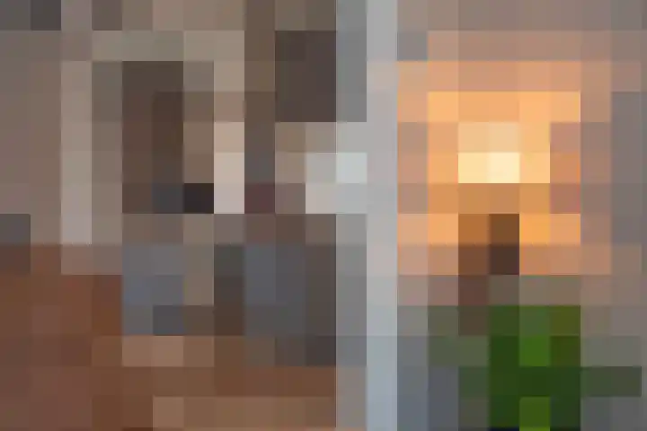 Wilhelminastraat 11 Delden thumbnail 13