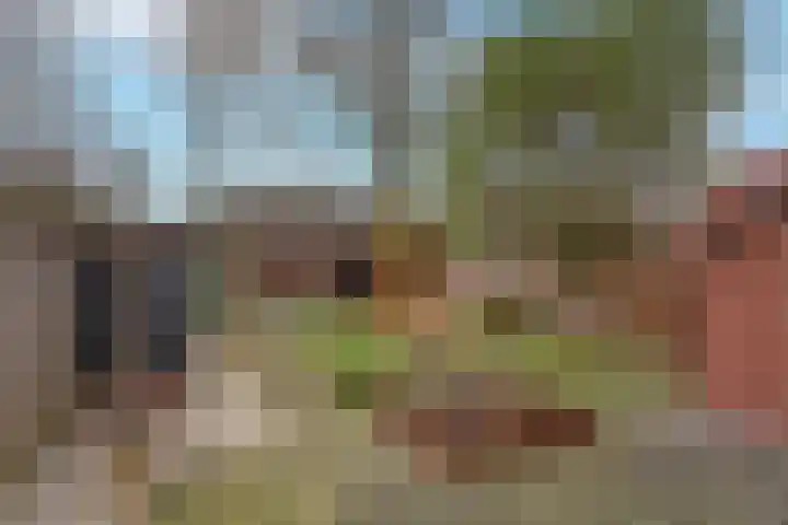 Wilhelminastraat 11 Delden thumbnail 33