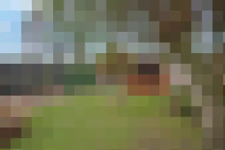Wilhelminastraat 11 Delden thumbnail 4