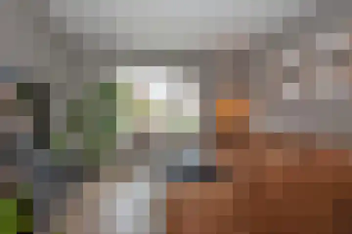 Wilhelminastraat 11 Delden thumbnail 9