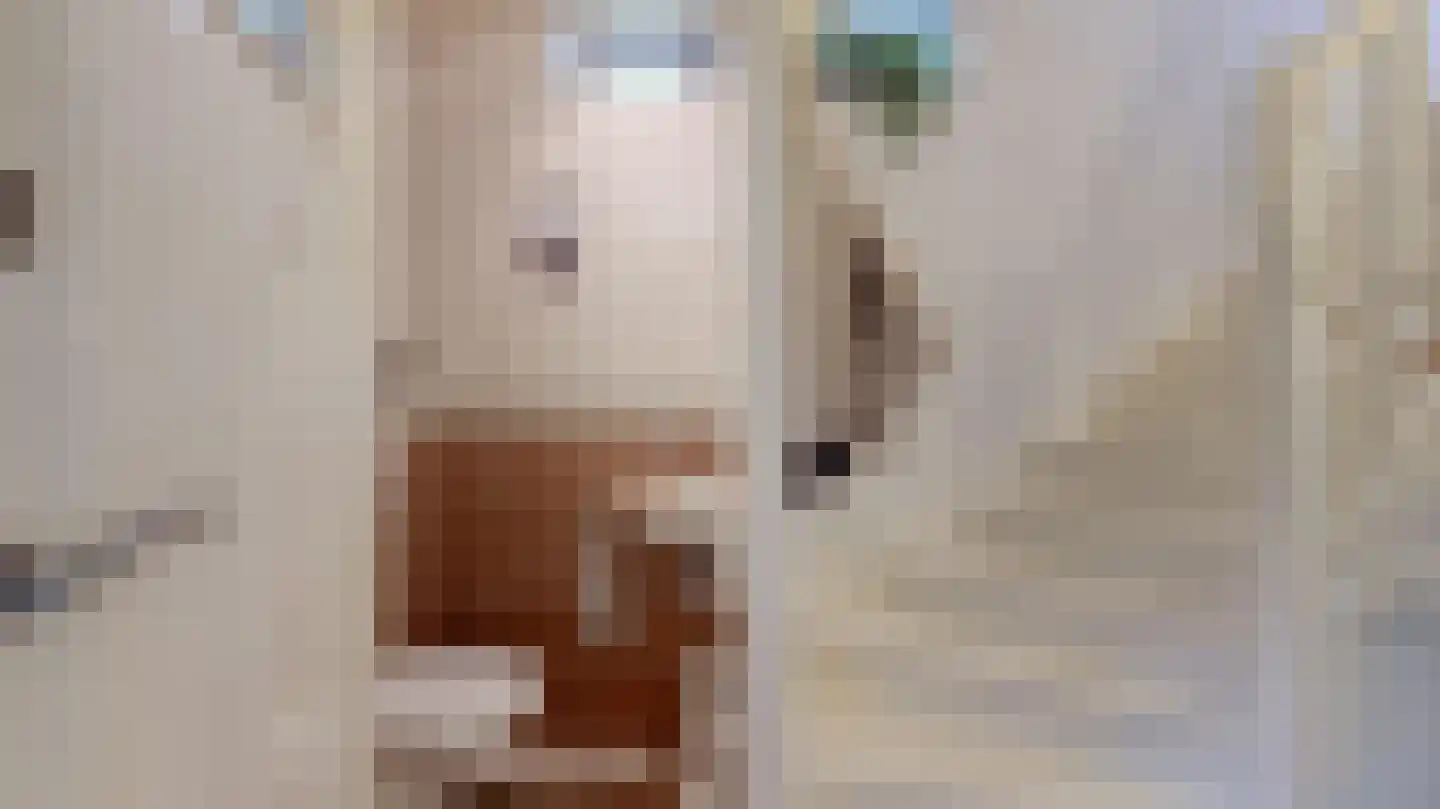 Wilhelminastraat 11 Geleen thumbnail 15