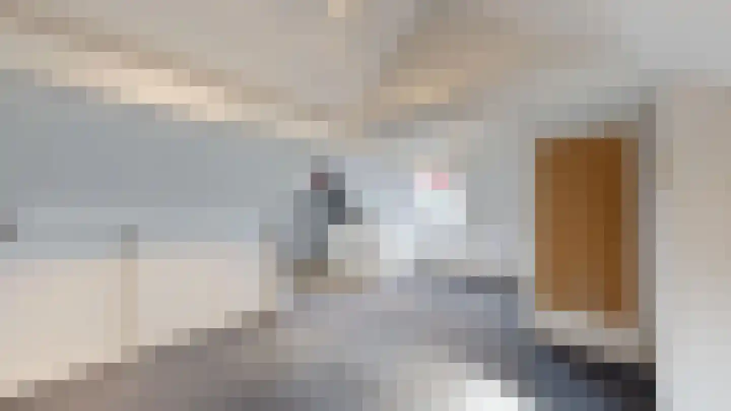 Wilhelminastraat 11 Geleen thumbnail 30