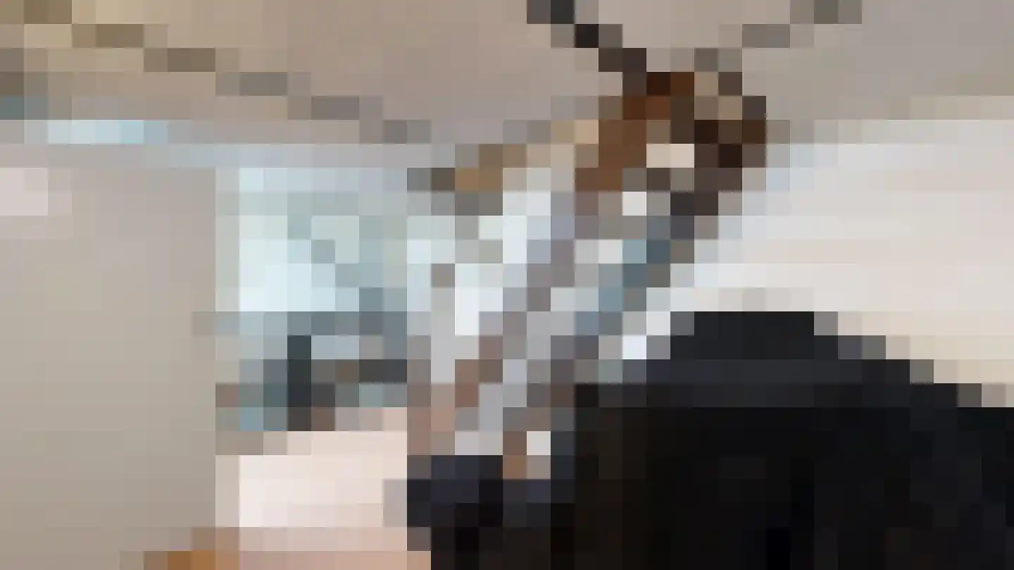 Wilhelminastraat 11 Geleen thumbnail 33