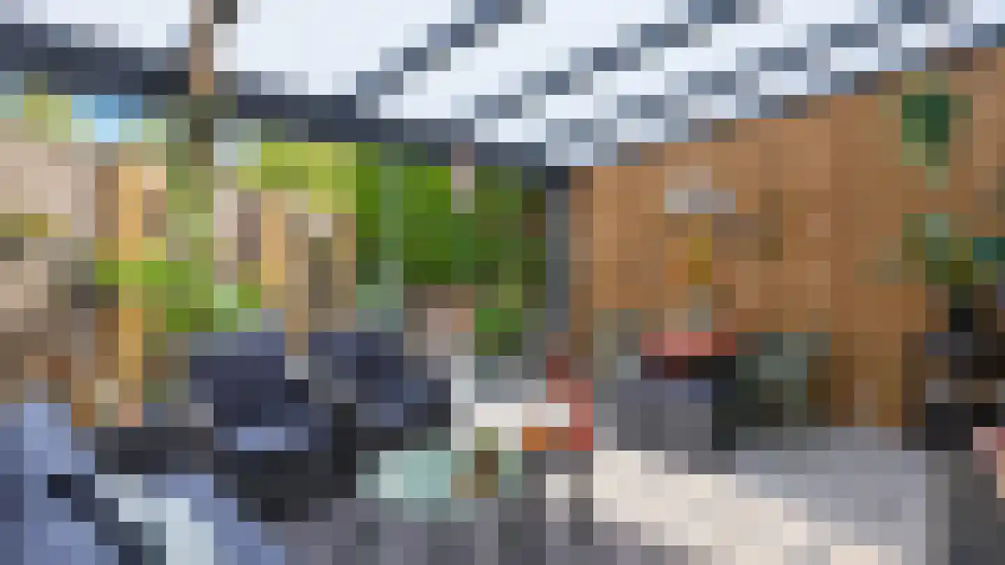 Wilhelminastraat 11 Geleen thumbnail 38