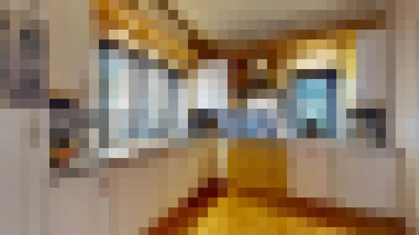 Wilhelminastraat 11 Geleen thumbnail 6