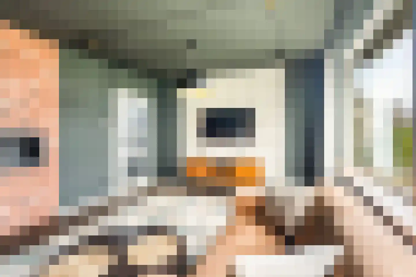 Wilhelminastraat 11 Marrum thumbnail 12
