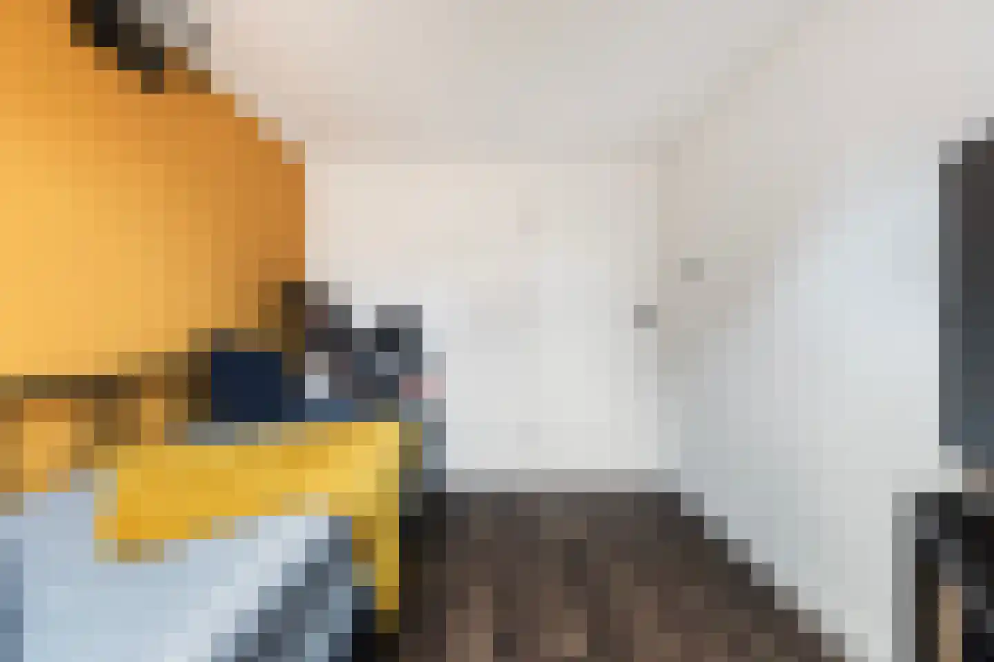Wilhelminastraat 11 Marrum thumbnail 27