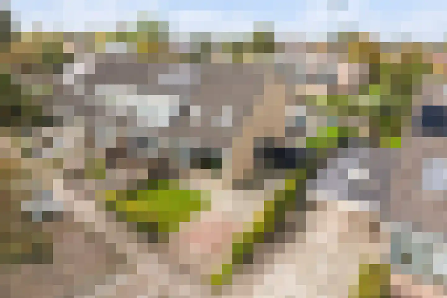 Wilhelminastraat 11 Marrum thumbnail 36