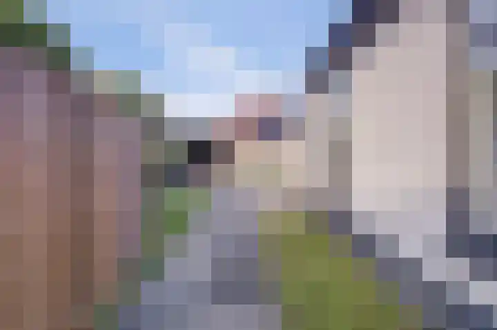 Wilhelminastraat 11 Mijnsheerenland thumbnail 27
