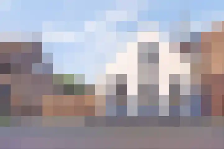 Wilhelminastraat 11 Mijnsheerenland thumbnail 30