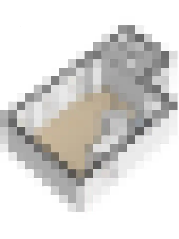 Wilhelminastraat 11 Mijnsheerenland thumbnail 34
