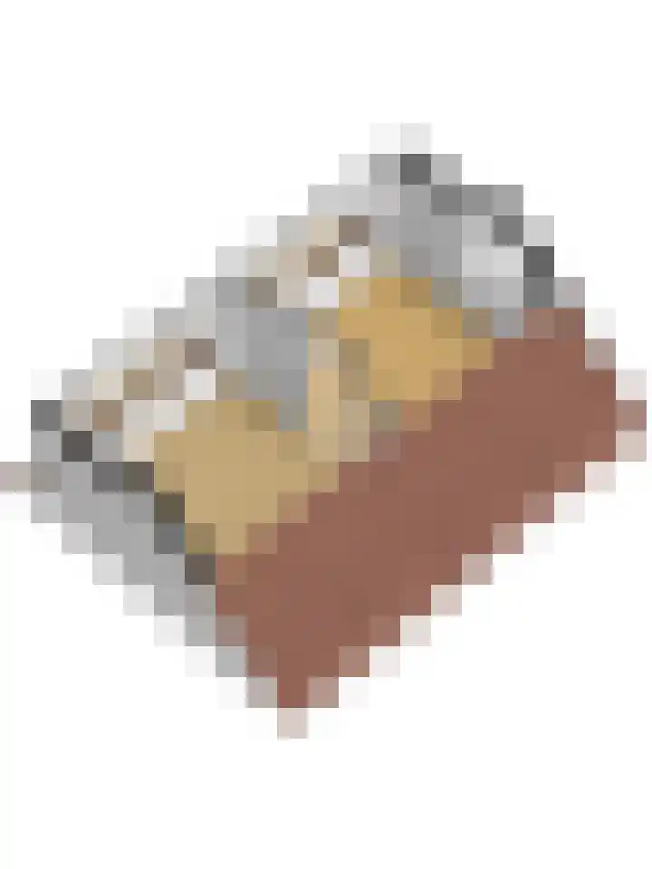 Wilhelminastraat 11 Mijnsheerenland thumbnail 35