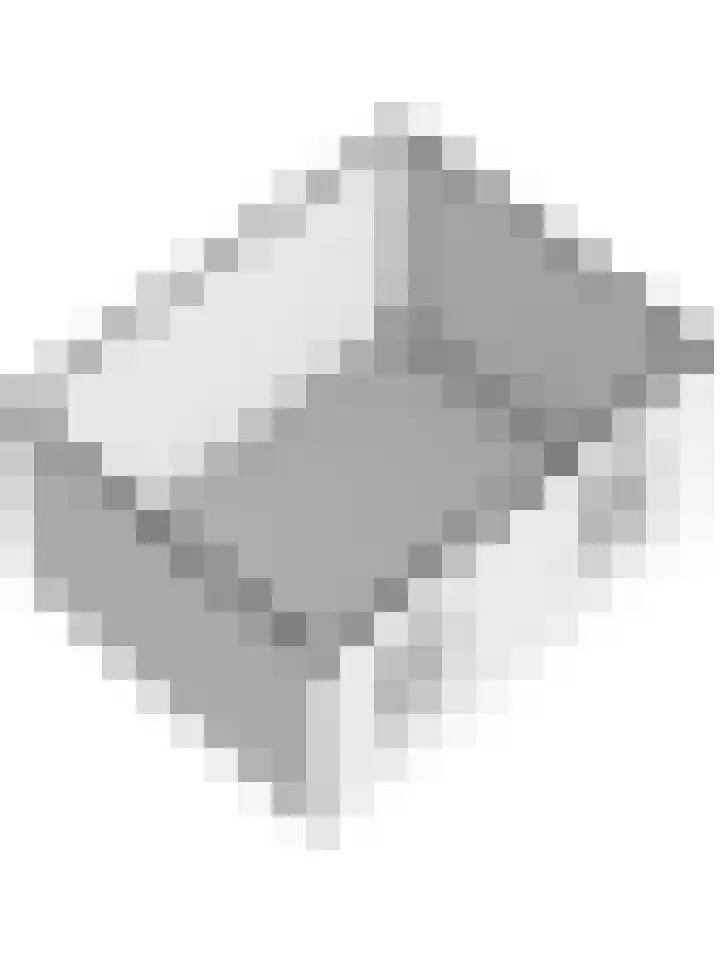 Wilhelminastraat 11 Mijnsheerenland thumbnail 37