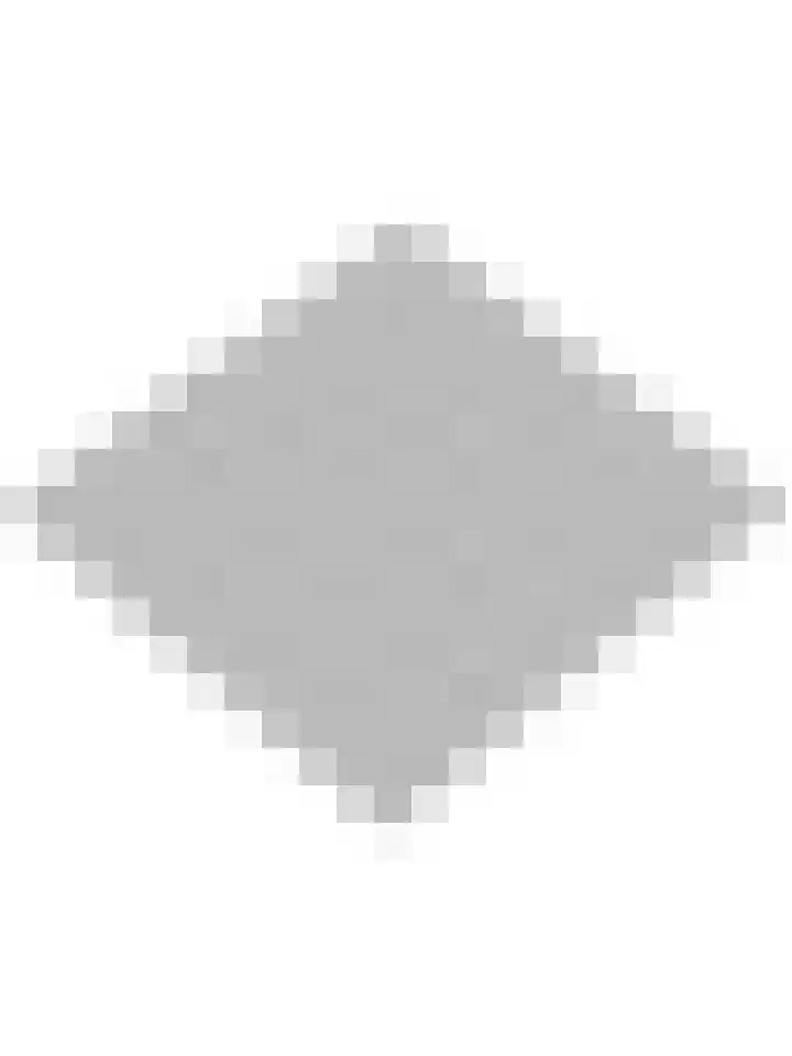 Wilhelminastraat 11 Mijnsheerenland thumbnail 39
