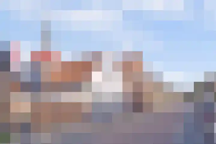 Wilhelminastraat 11 Mijnsheerenland thumbnail 4